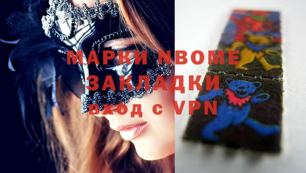 прущий лед Новозыбков