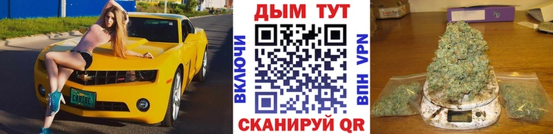 omg зеркало  Тайшет  Бошки марихуана сатива 